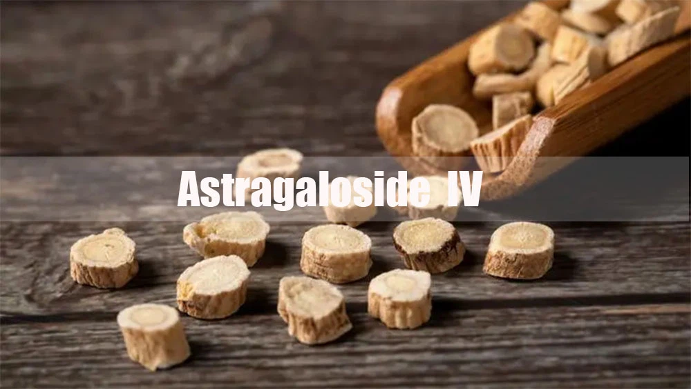 Astragaloside IV Powder.png